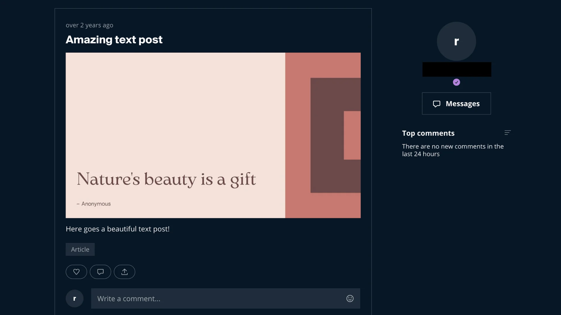 Sample text post with title, decorative cover image, description, Article tag, and comment section